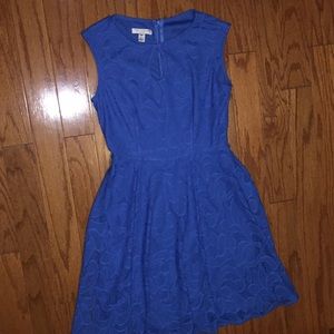 Blue Lace Dress 4 petite